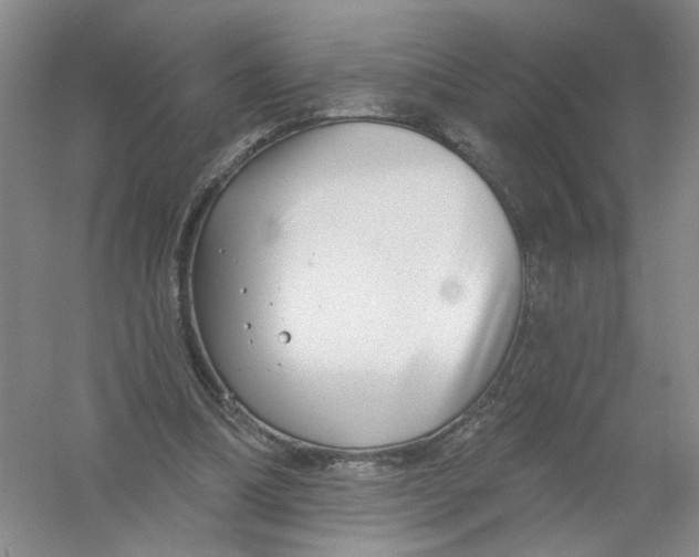 X0000054360298200508262322