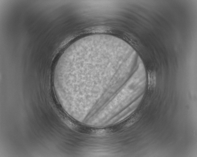 X0000054360301200508262322