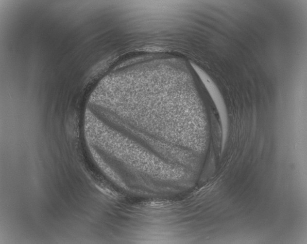 X0000054360303200508262322