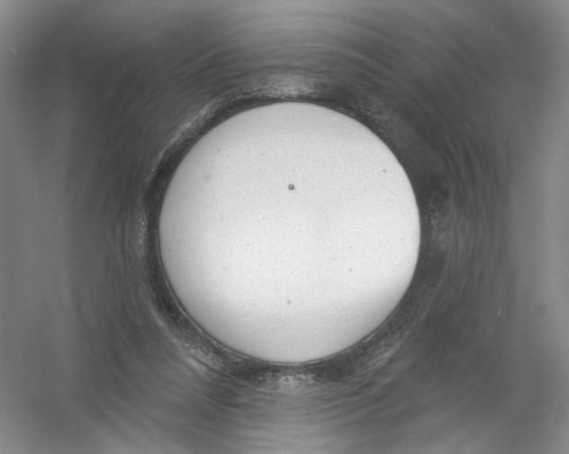 X0000054360304200508262322