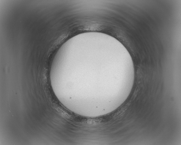 X0000054360305200508262322