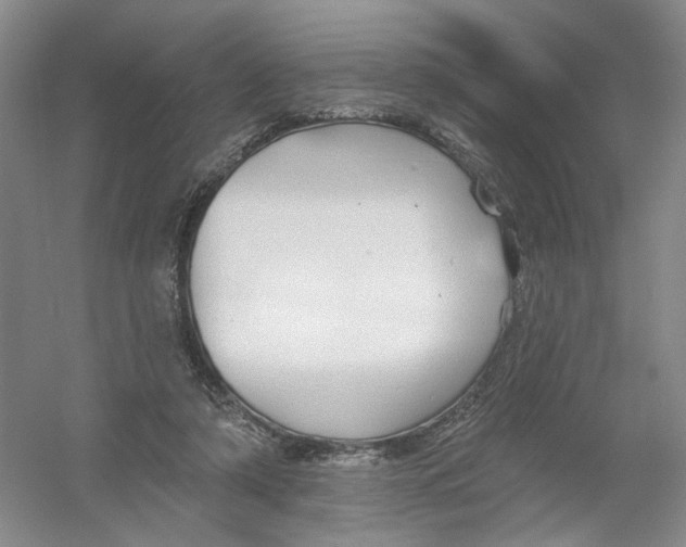 X0000054360306200508262322