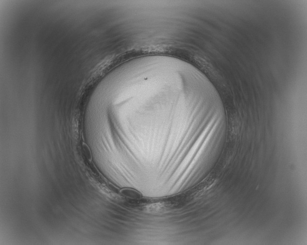 X0000054360309200508262322