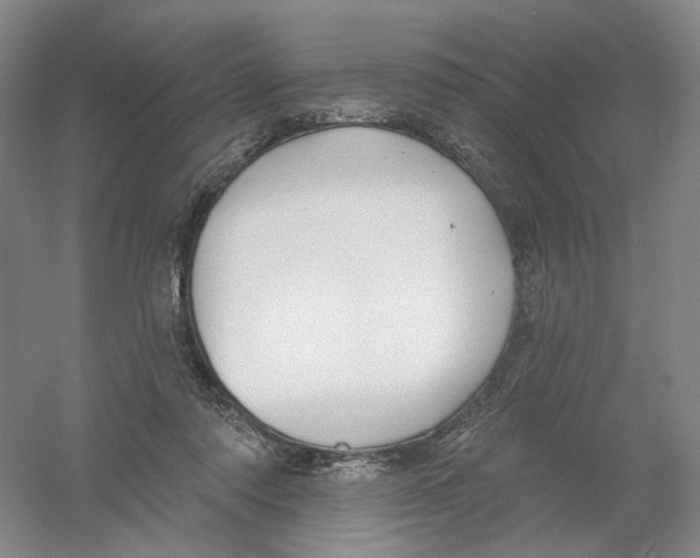 X0000054360310200508262322