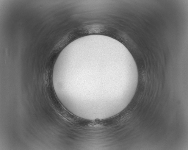 X0000054360311200508262322