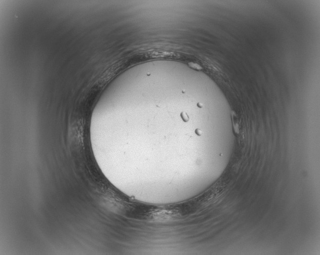 X0000054360315200508262322