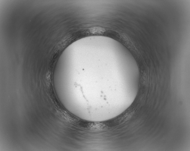 X0000054360321200508262321