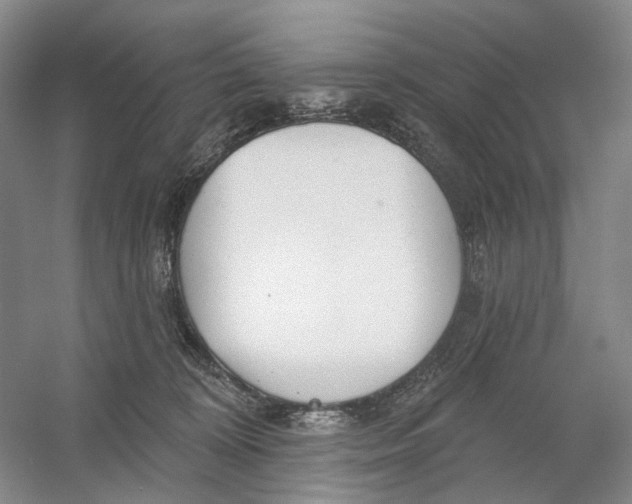 X0000054360324200508262321