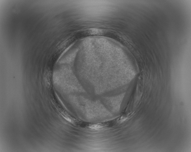 X0000054360325200508262321