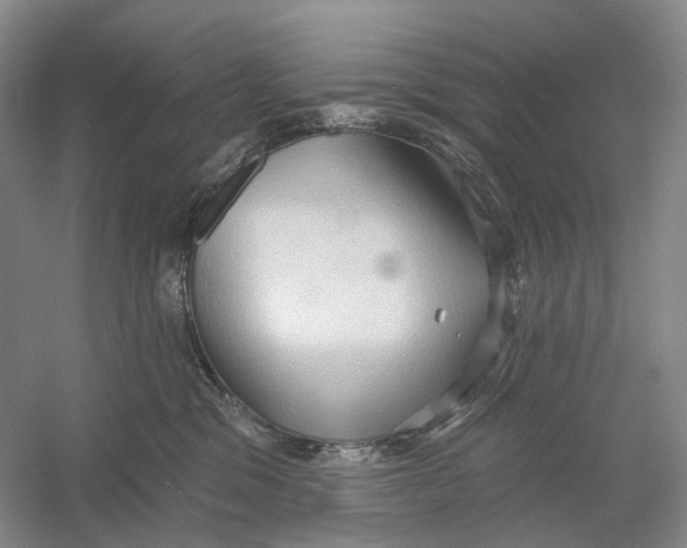 X0000054360329200508262321