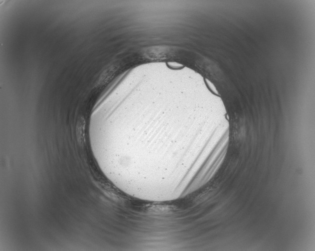 X0000054360332200508262321