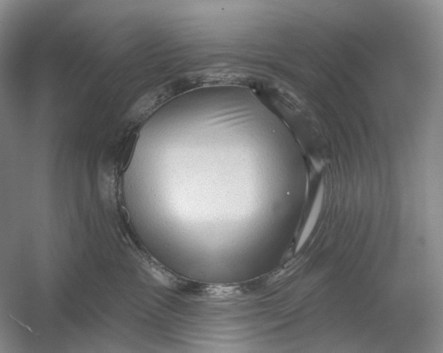 X0000054360333200508262321