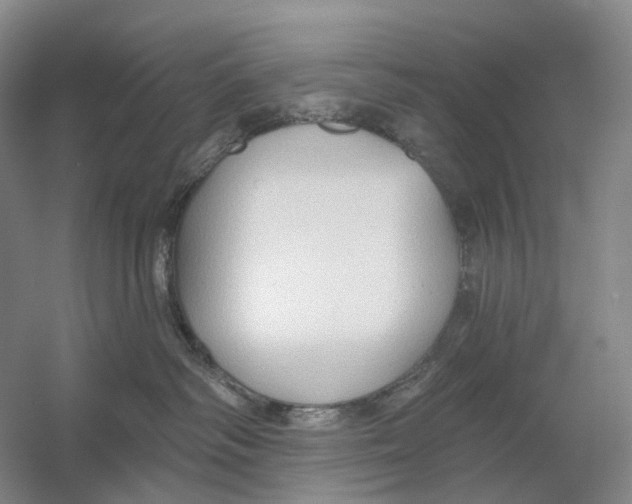 X0000054360334200508262321