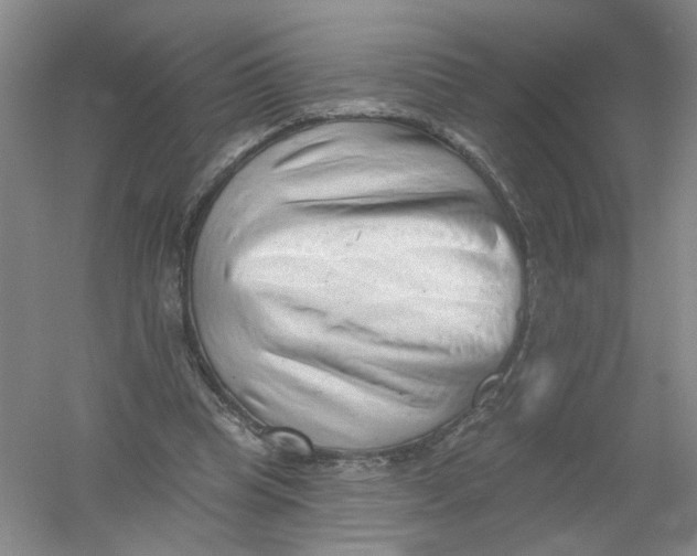 X0000054360345200508262321