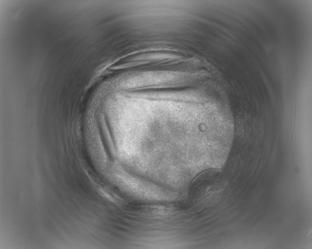 X0000054360347200508262321