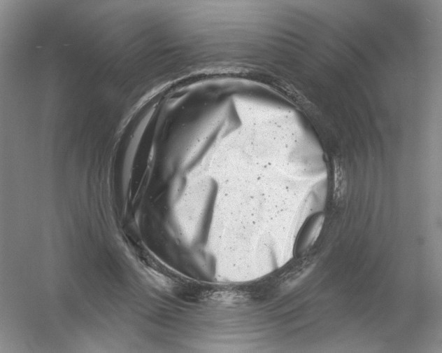 X0000054360348200508262321