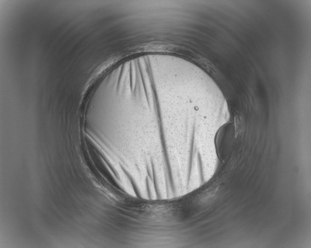 X0000054360349200508262321