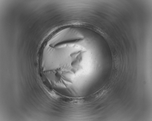 X0000054360350200508262321