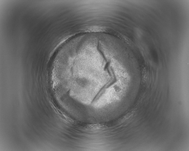 X0000054360351200508262321