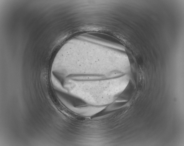 X0000054360352200508262321