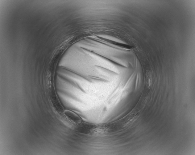 X0000054360356200508262321