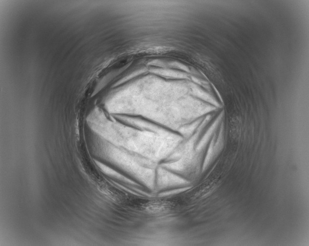 X0000054360358200508262321