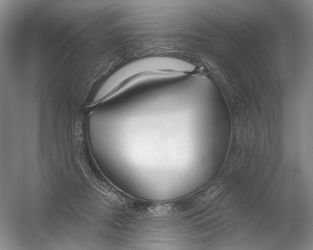 X0000054360362200508262321
