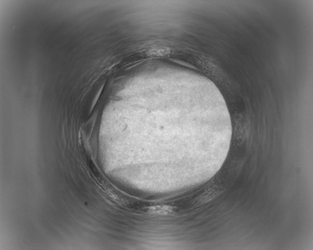 X0000054360363200508262321