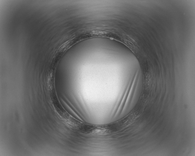 X0000054360364200508262321