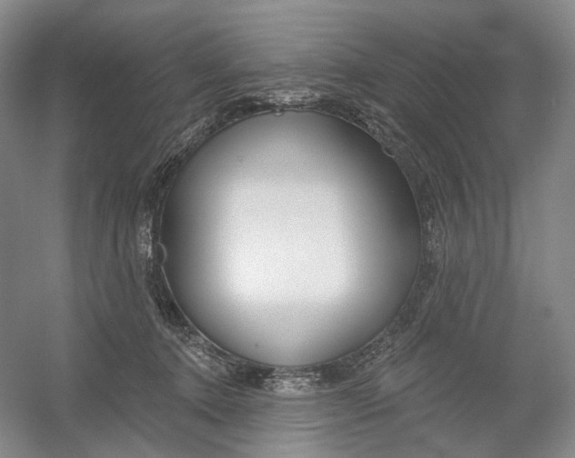 X0000054360368200508262321