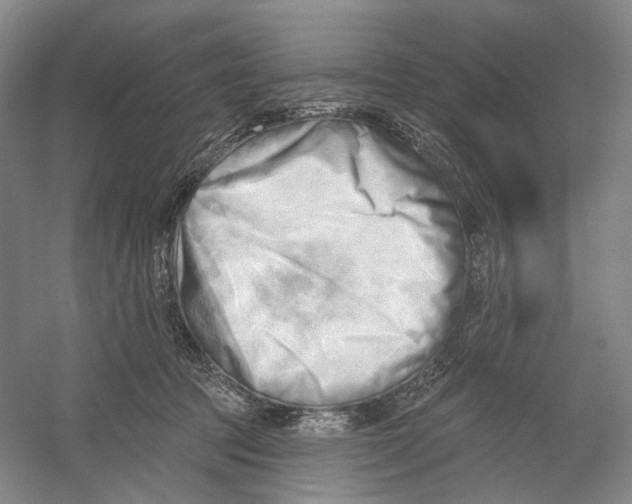 X0000054360369200508262321