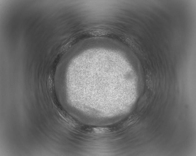 X0000054360371200508262321