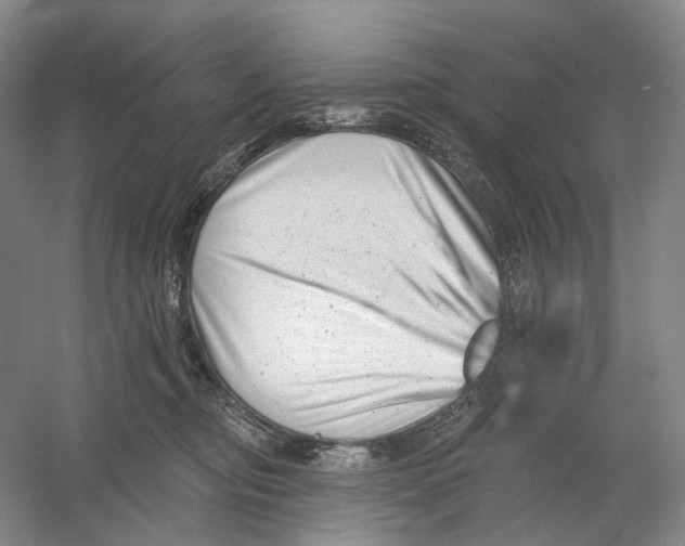 X0000054360374200508262321