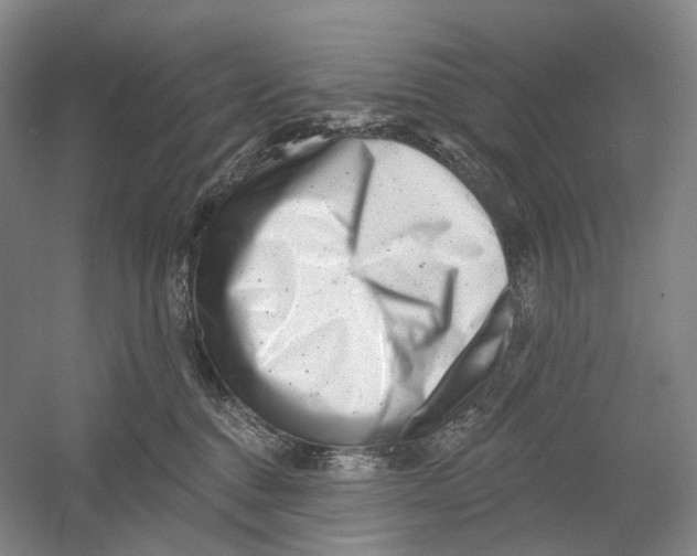 X0000054360376200508262321