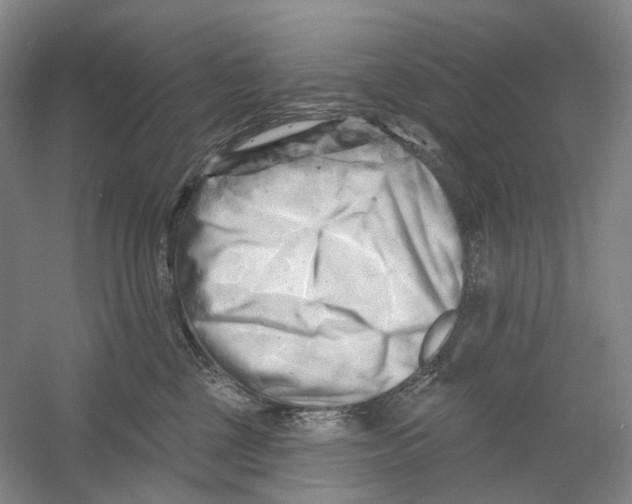 X0000054360377200508262321