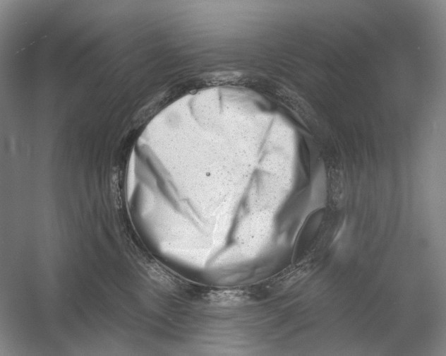 X0000054360378200508262321