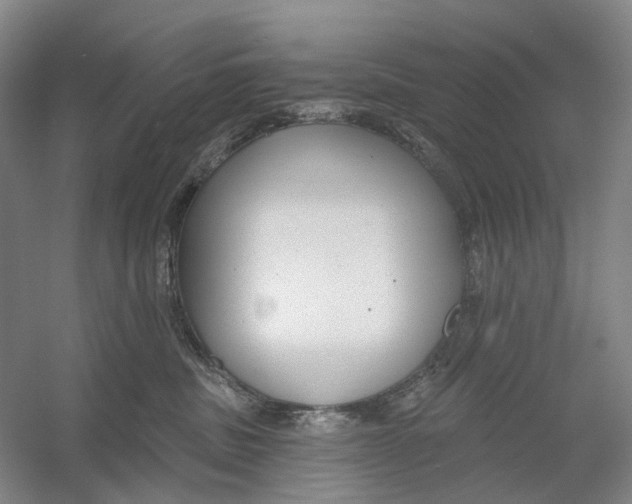 X0000054360379200508262321