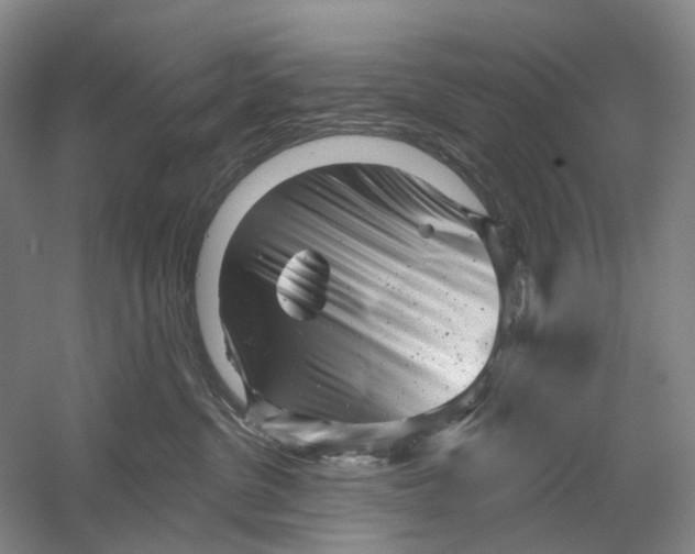 X0000054360380200508262321