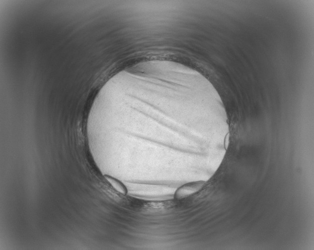 X0000054360381200508262321