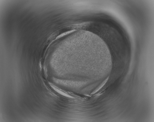 X0000054360383200508262321
