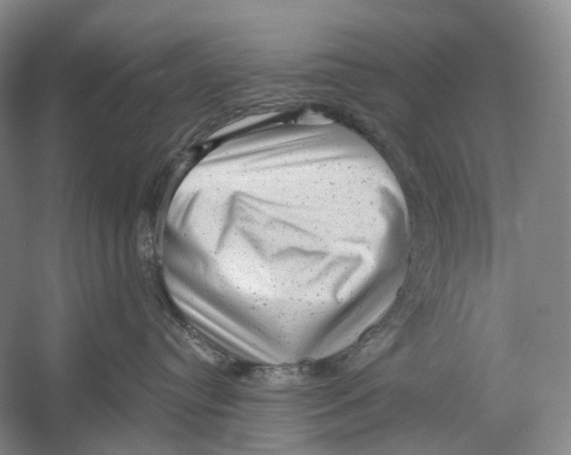 X0000054360384200508262321