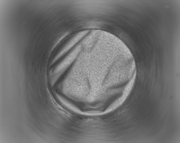 X0000054360386200508262320