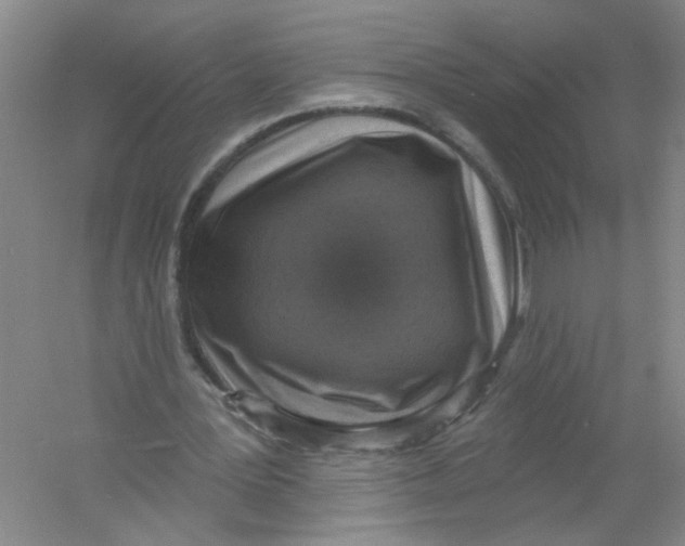 X0000054360387200508262320