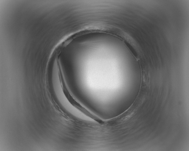 X0000054360388200508262320