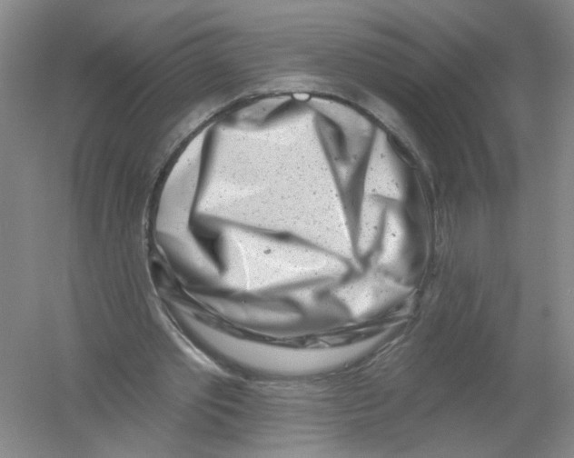 X0000054360389200508262320