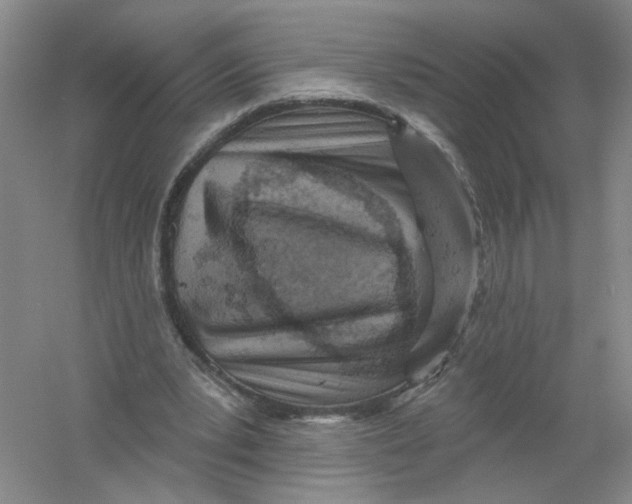 X0000054360391200508262320