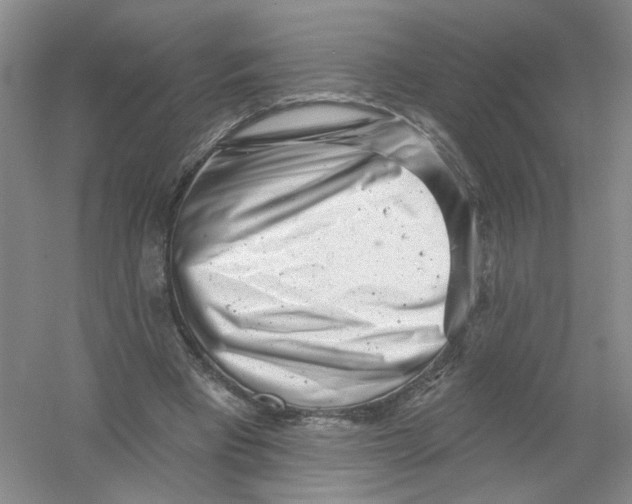 X0000054360393200508262320