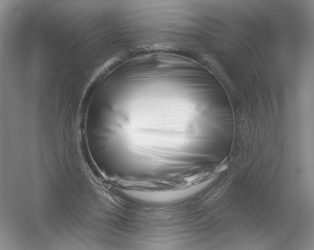 X0000054360395200508262320