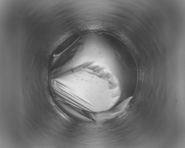 X0000054360397200508262320