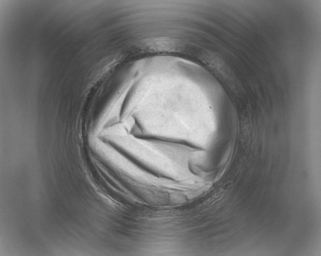 X0000054360398200508262320